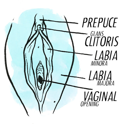 Photos Of The Clitoris